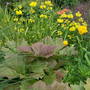 Pict0024