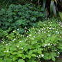 Pict0030