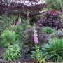 Purple border