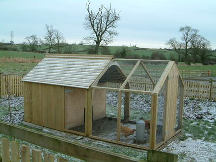 Table Chicken House