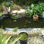 Sophie_garden_001