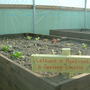 Dscf0006