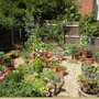 2005_1